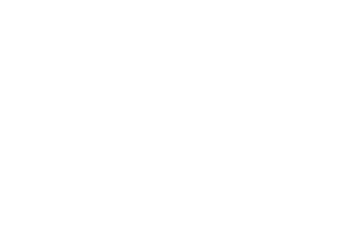 circle check icon